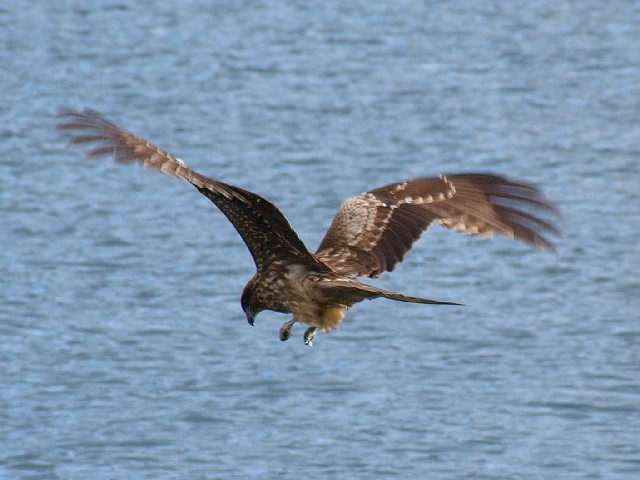 c0187587_031119.jpg