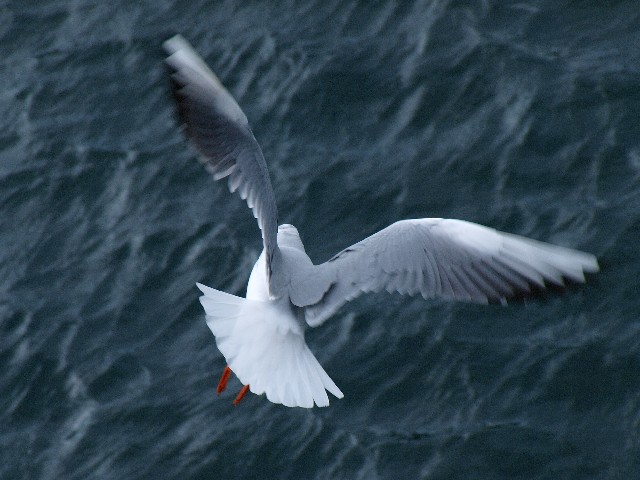 c0187587_041314.jpg