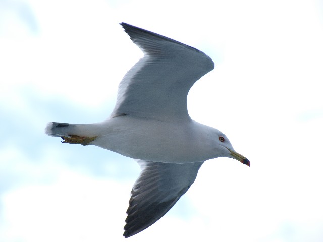 c0187587_05171.jpg
