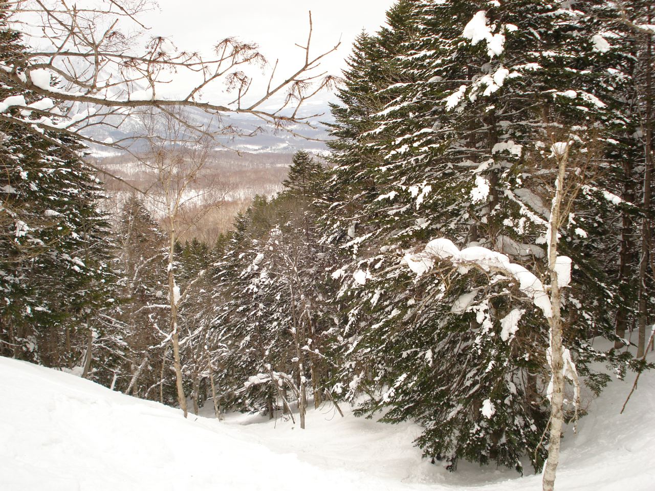 a0115090_21595692.jpg