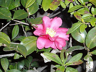 c0138198_1055262.jpg
