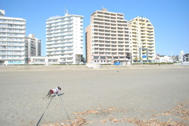 b0136300_1950555.jpg