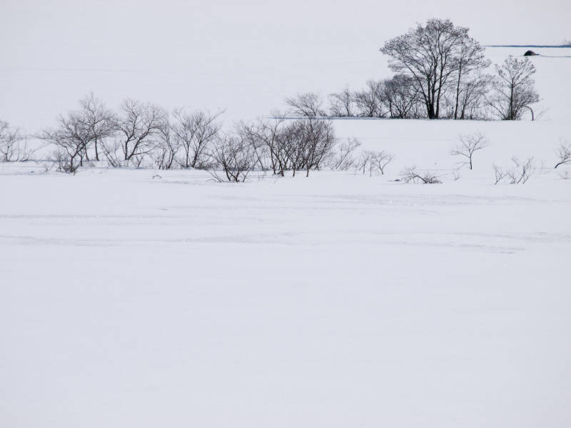 f0002801_1224578.jpg