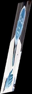 e0147206_23294017.jpg