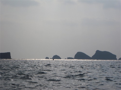b0089616_21305267.jpg