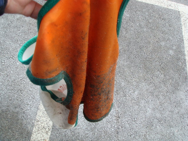 e0147716_4101192.jpg