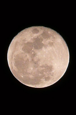 f0056516_157398.jpg