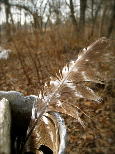 c0120817_2216364.jpg