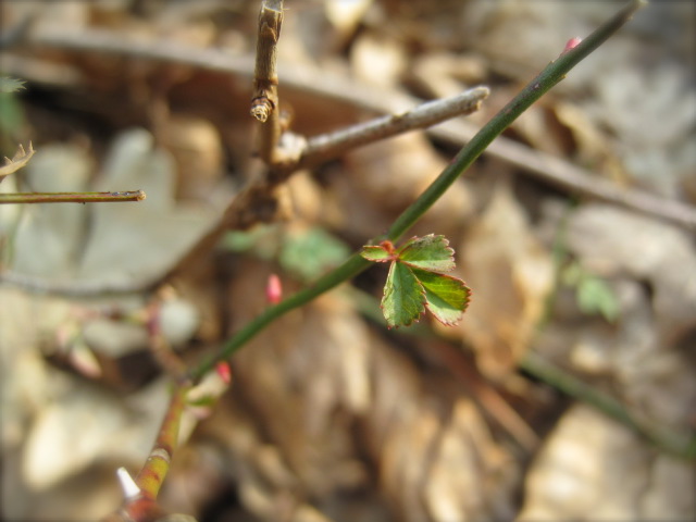 c0120817_22234947.jpg