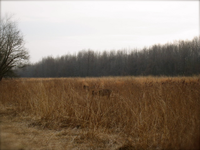 c0120817_22262960.jpg