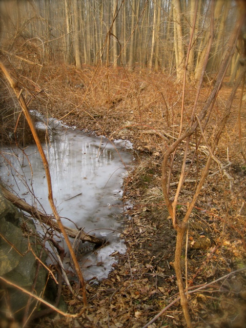 c0120817_22312653.jpg