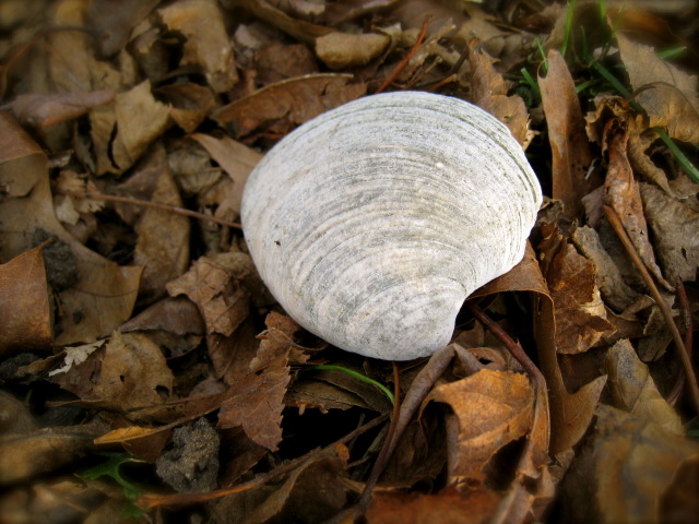 c0120817_22332157.jpg