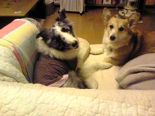 c0150520_23314064.jpg
