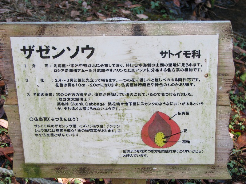 a0004023_9253956.jpg