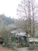 f0178726_20444142.jpg