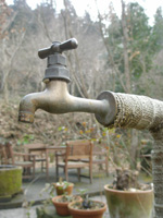 f0178726_2053432.jpg