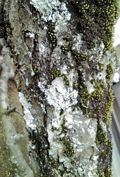 a0098027_15394052.jpg