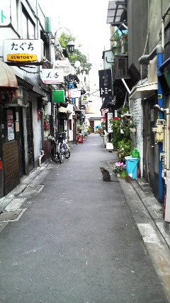 f0192531_13274250.jpg