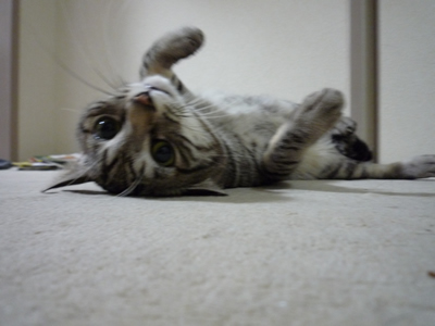 c0125532_2039328.jpg