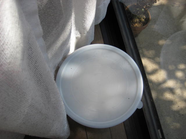 e0166032_22111334.jpg