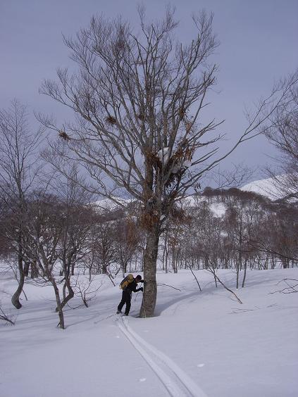 f0118332_085274.jpg