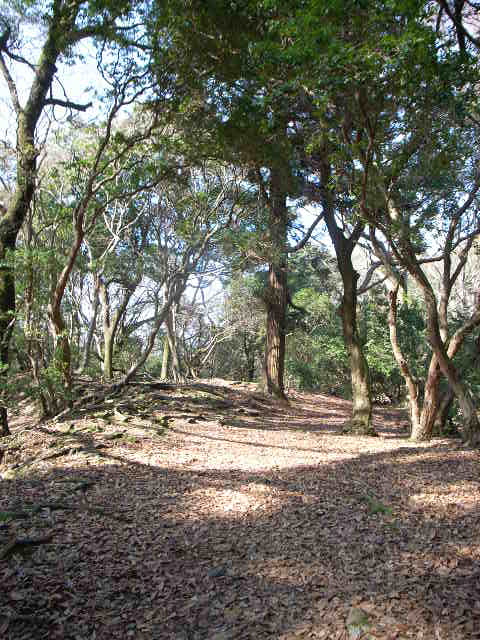 d0105133_17481921.jpg