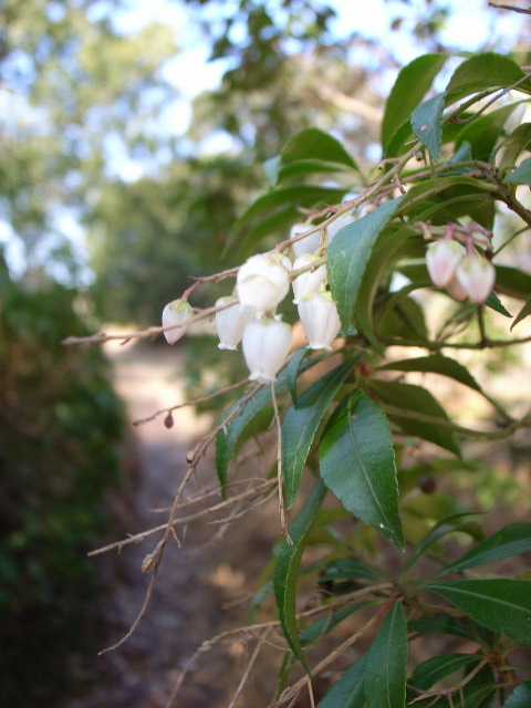 d0105133_17485063.jpg