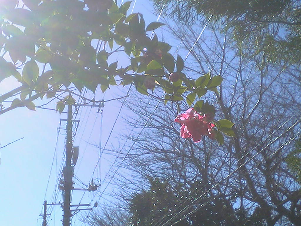 c0152037_2292864.jpg