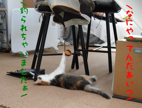 c0181639_048169.jpg