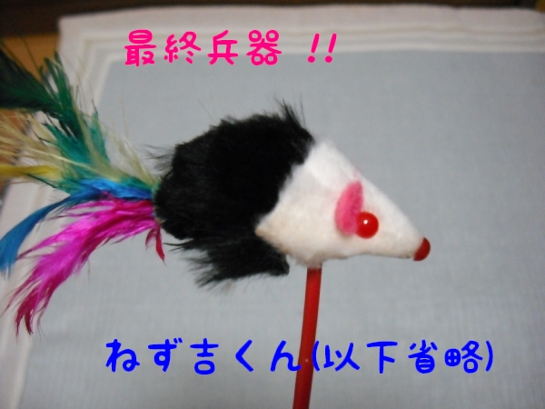 c0181639_0483590.jpg