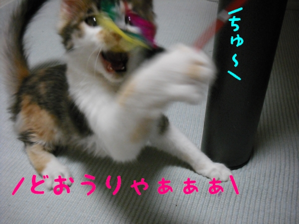 c0181639_048562.jpg