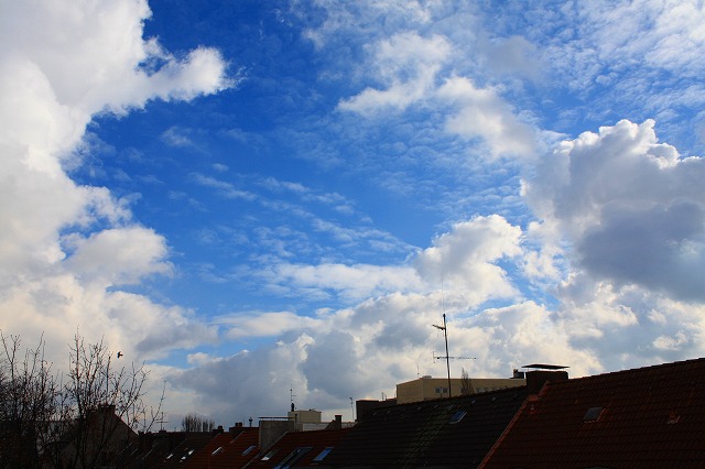 c0153740_4313574.jpg