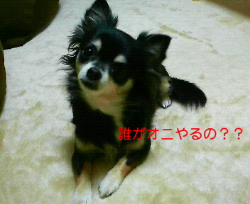c0121141_09652.jpg