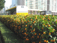 f0143445_19143351.jpg