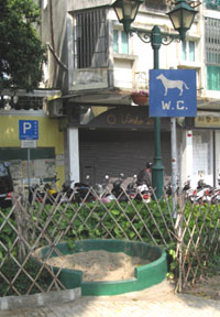 f0143445_19175017.jpg