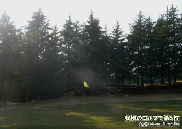 c0067646_516564.jpg