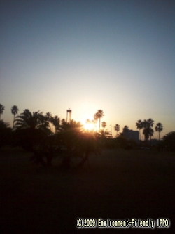 c0067646_5414733.jpg