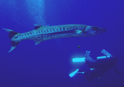 e0027447_19303083.jpg