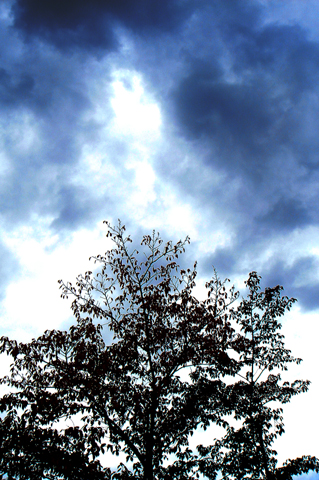 a0024250_11402568.jpg