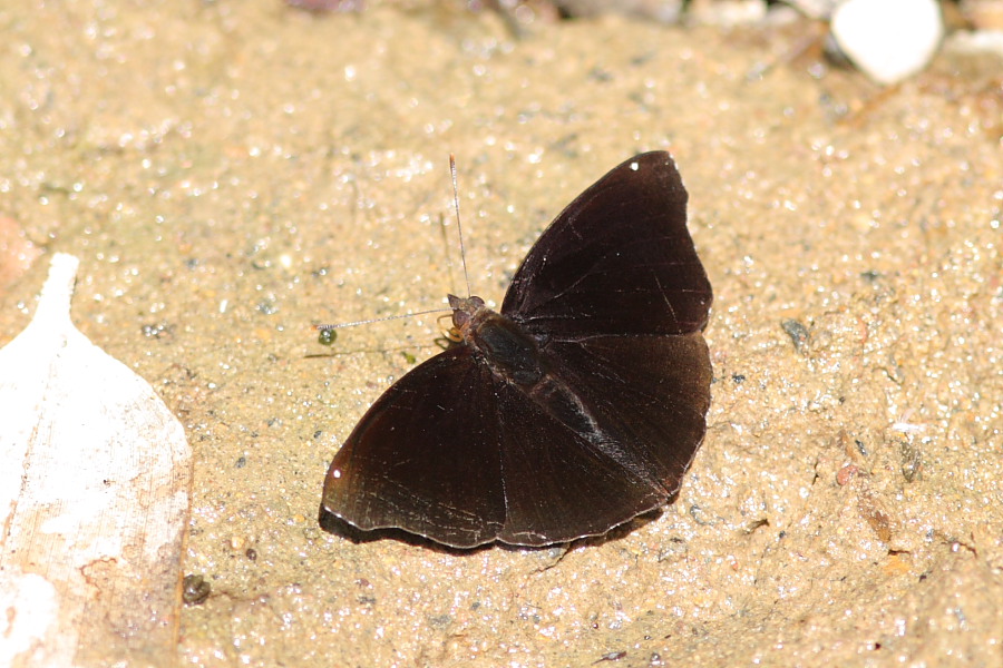 a0094850_2111566.jpg