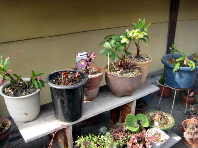 c0147952_22434256.jpg