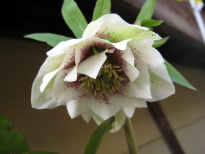 c0147952_22441393.jpg