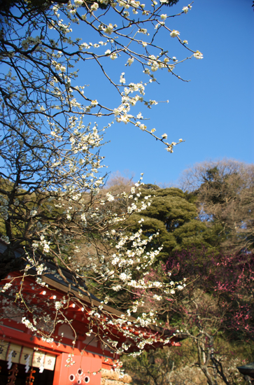 f0176458_22211246.jpg