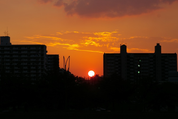 f0179061_983395.jpg