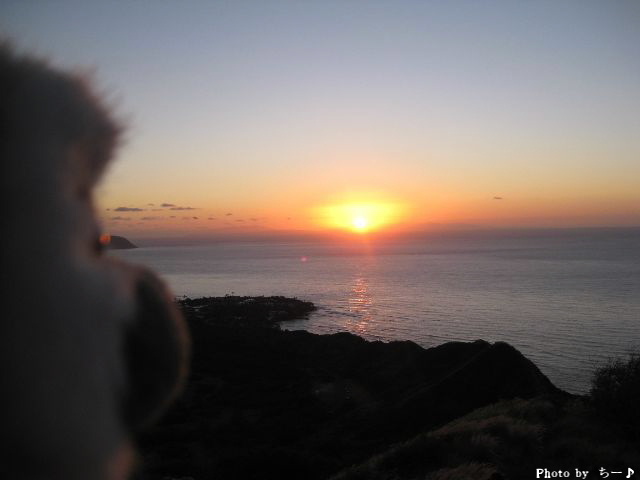 a0067962_813226.jpg