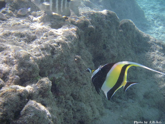 a0067962_8281536.jpg