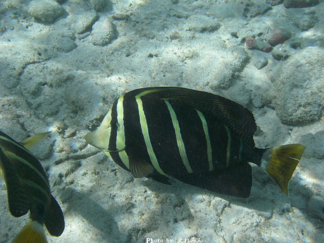a0067962_8283221.jpg
