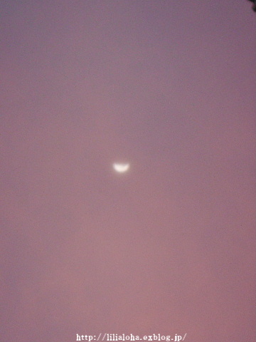 a0067962_9211781.jpg