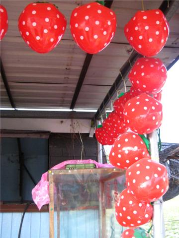 c0163362_13173534.jpg
