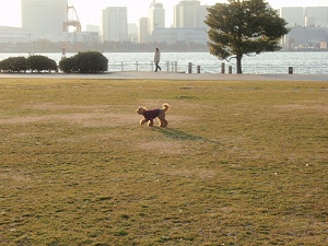 c0135363_1583931.jpg